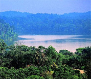 Lower Peirce Reservior view